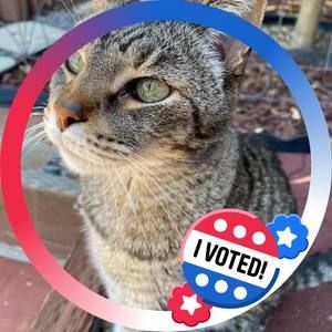 Meet your Posher, Brigitta